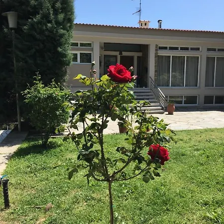 Secret Bay * PalaiónTsiflíkion